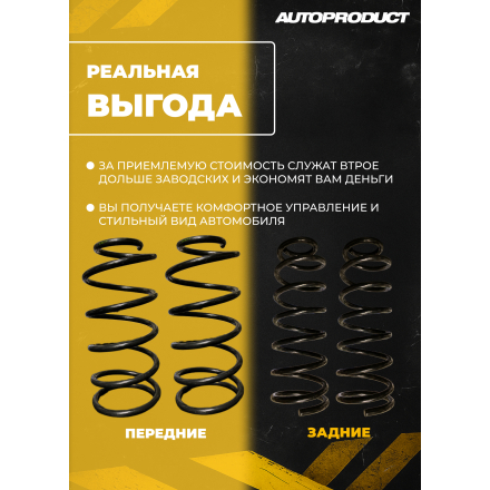 Комплект задних пружин JAC JS4