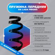 Пружина передняя холодной навивки ВАЗ ПРИОРА, 2004 г. ОЕМ 2170-2902712 (компл.)